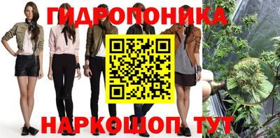 Альфа ПВП Ипатово