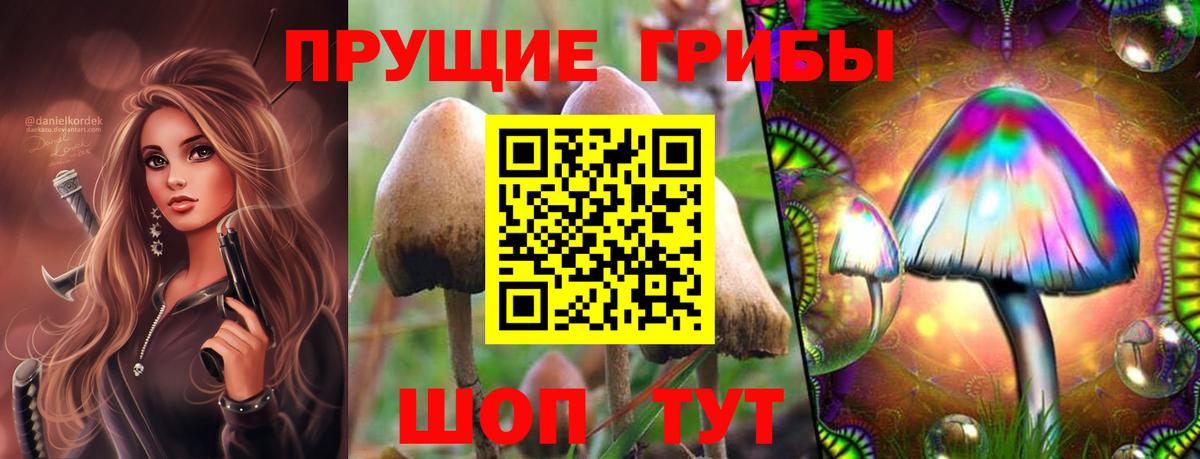 сколько стоит  Вход с VPN  Вольск  Псилоцибиновые грибы Psilocybine cubensis  Псилоцибиновые грибы мухоморы 