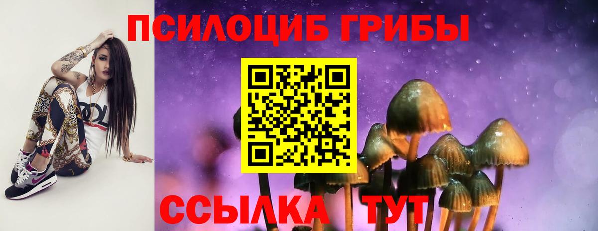 Галлюциногенные грибы GOLDEN TEACHER Вольск